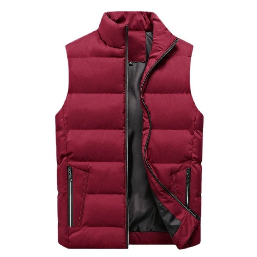 Vetements D'Exterieur Pour Hommes LITB | Homme Gilet Matelasse Gilet Exterieur Camping Et Randonnee Usage Quotidien Vacances Mode Basique Automne Hiver Zippe Poche Polyester Coupe Vent Chaud Plein Fermeture Eclair Mao Standard